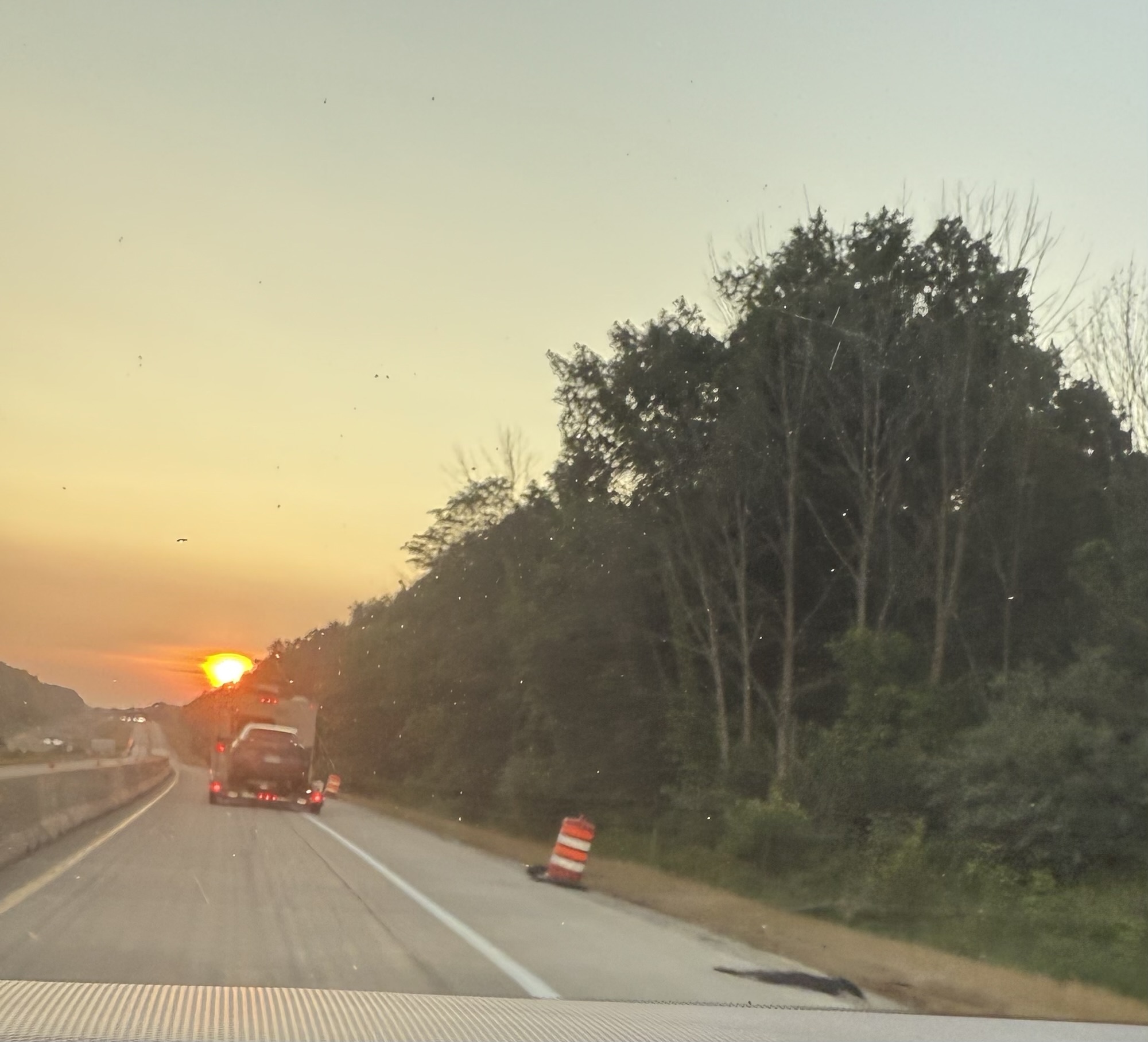 Golden Rain and Rearview Promises